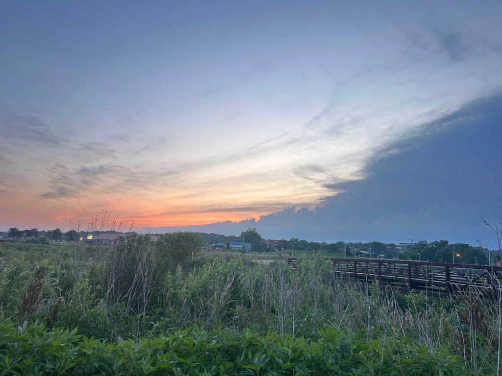 decorative image of landscape at sunset