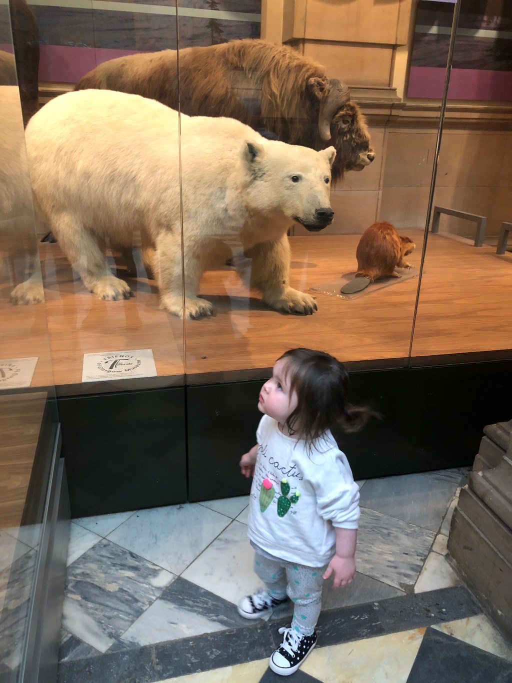 Little girl in front of a taxidermy of a polar bear