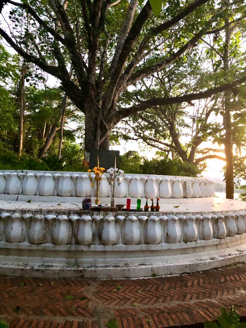 decorative image of candles in front of tree