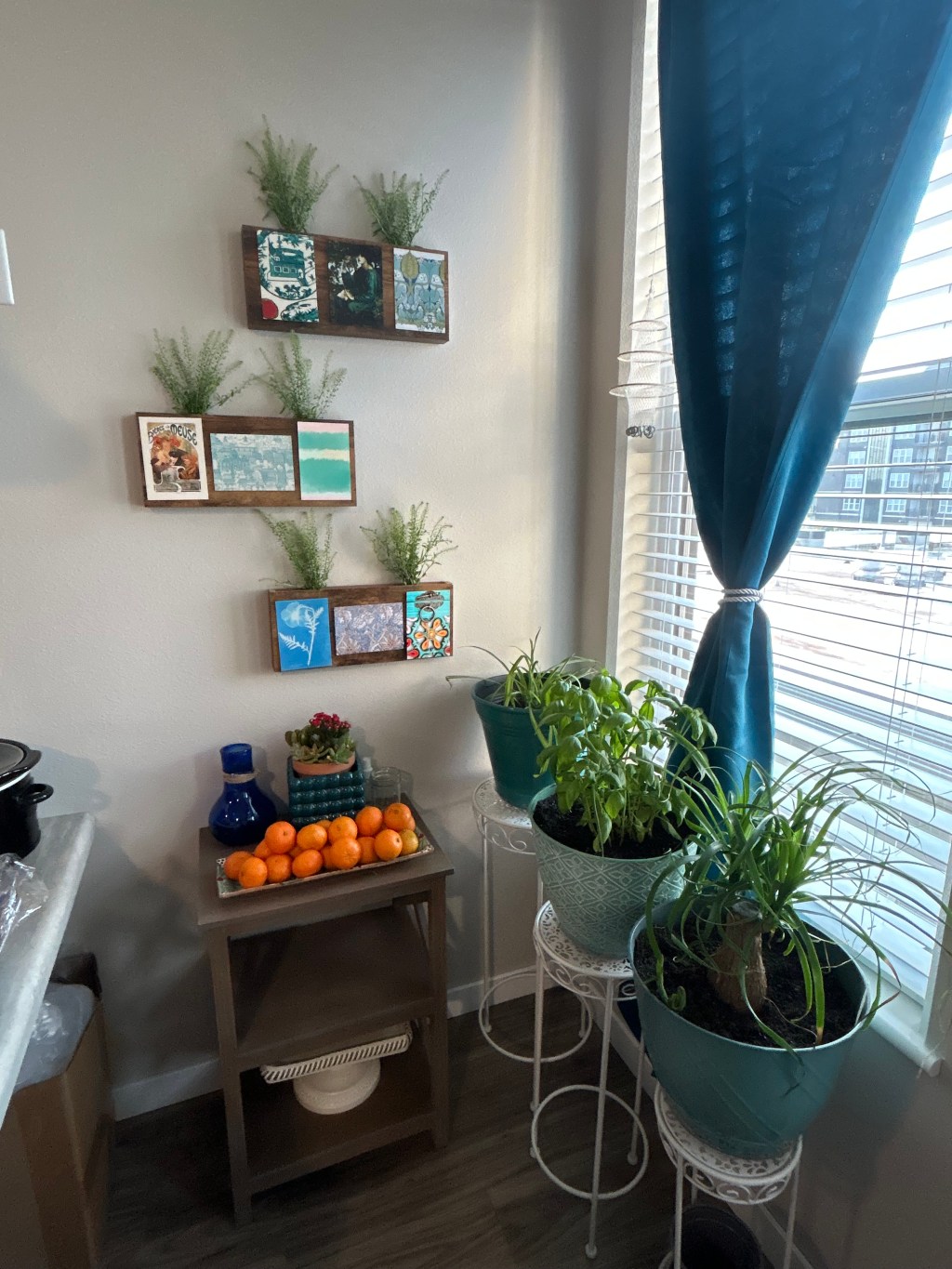 decorative image of plants in a corner